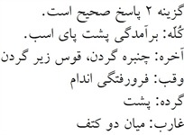 پاسخنامه