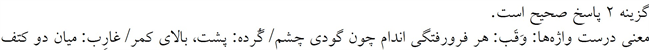 پاسخنامه