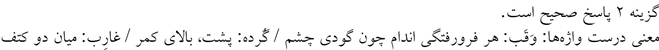 پاسخنامه