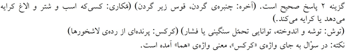پاسخنامه