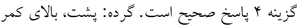 پاسخنامه